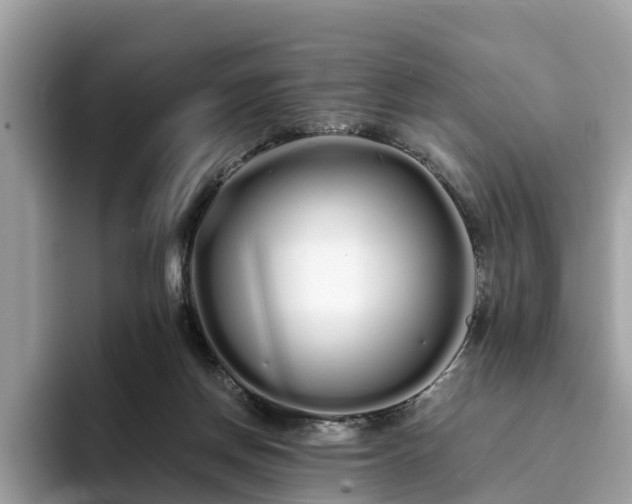 X0000094080166200710261314