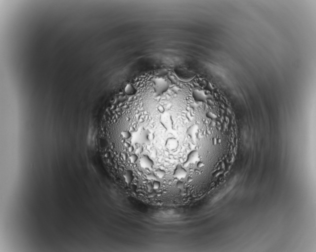 X0000094080177200710261315