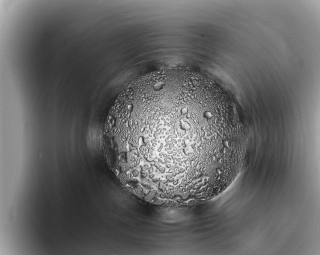 X0000094080191200710261315