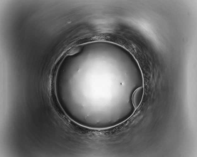 X0000094080194200710261314