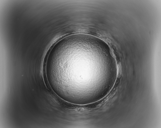 X0000094080195200710261314