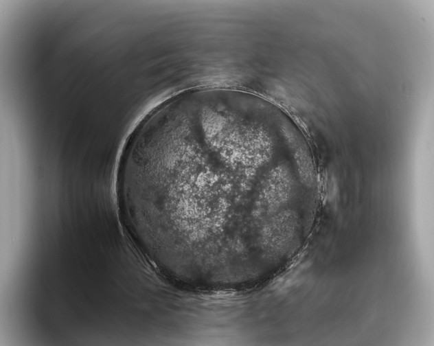 X0000094080196200710261314