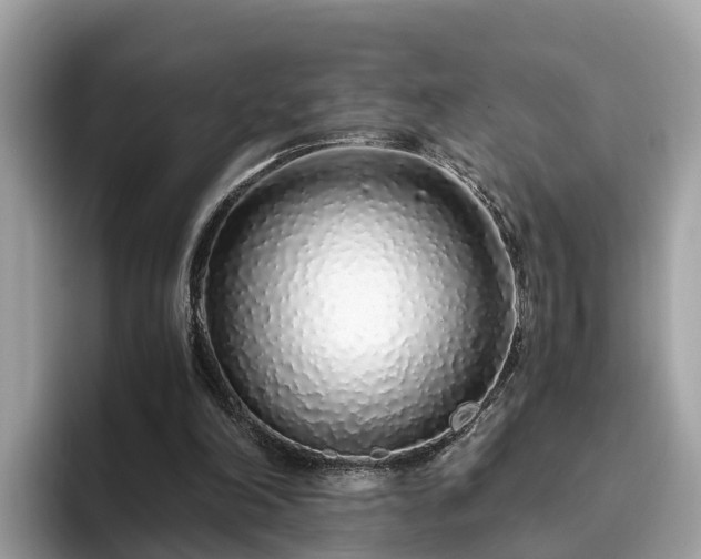 X0000094080198200710261314