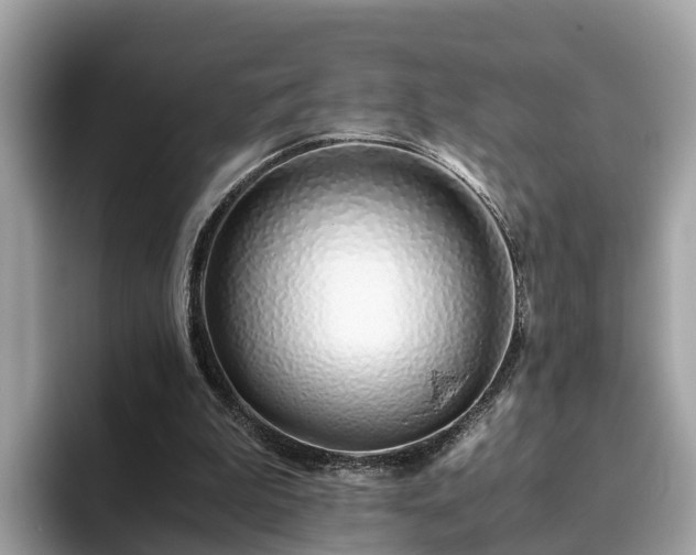 X0000094080199200710261314