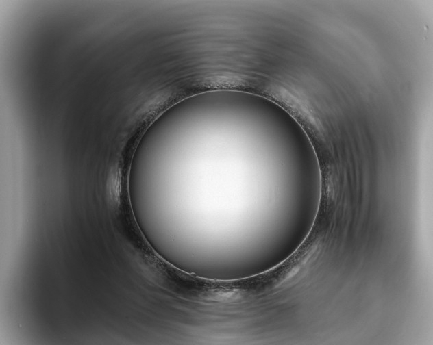 X0000094080206200710261314