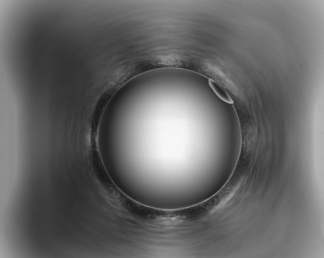 X0000094080213200710261314