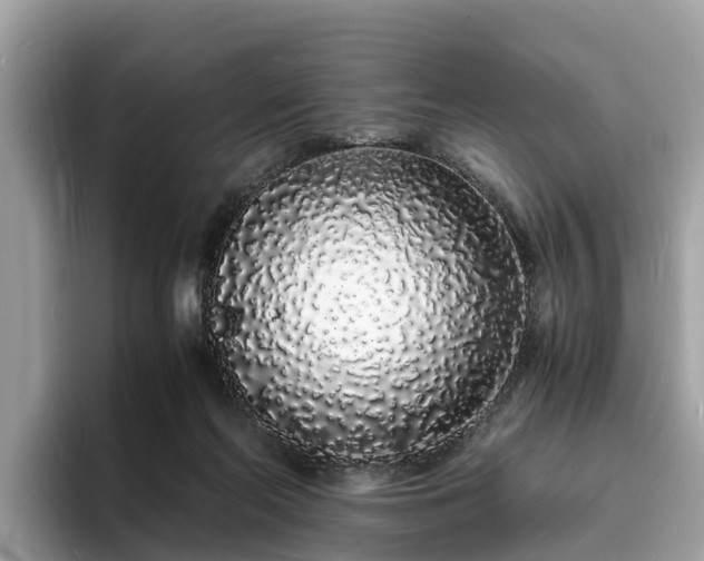 X0000094080214200710261314