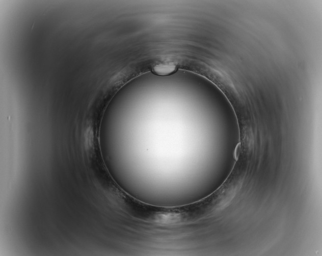 X0000094080220200710261314