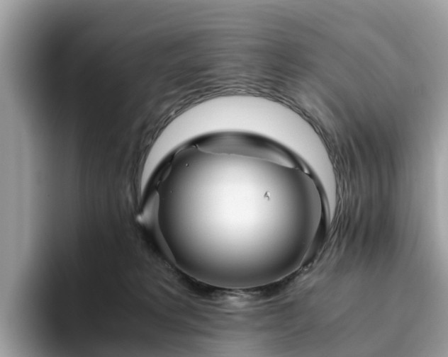 X0000094080229200710261314