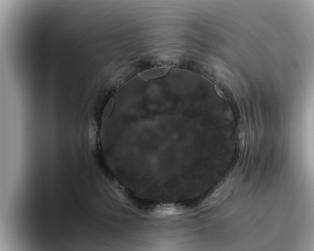 X0000094080231200710261314