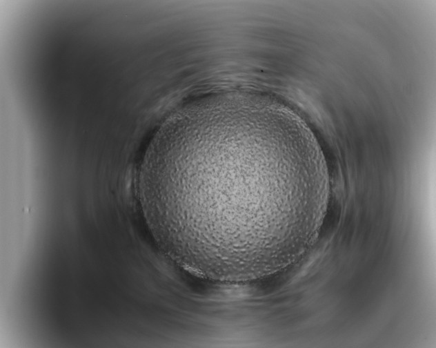 X0000094080233200710261314