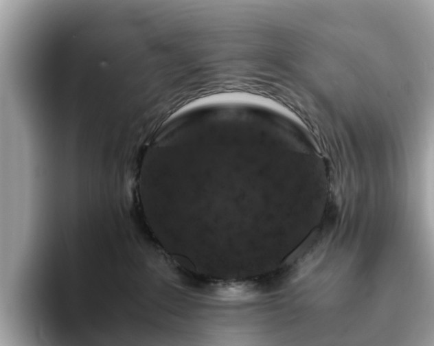 X0000094080235200710261314