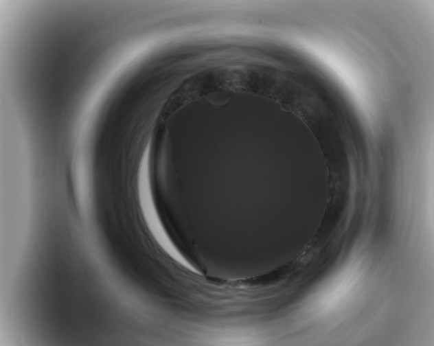 X0000094080239200710261314