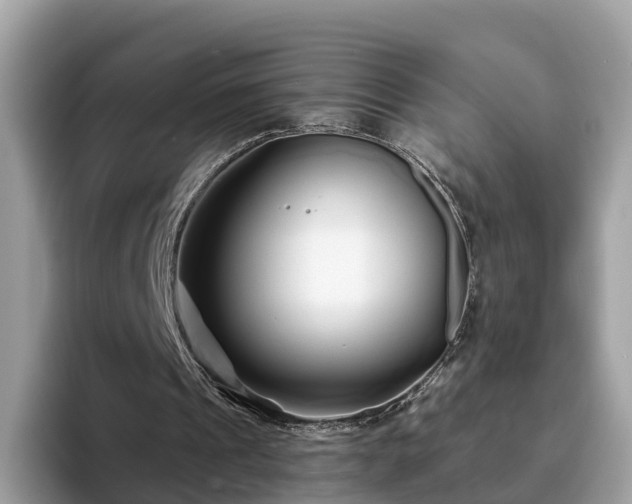 X0000094080241200710261313