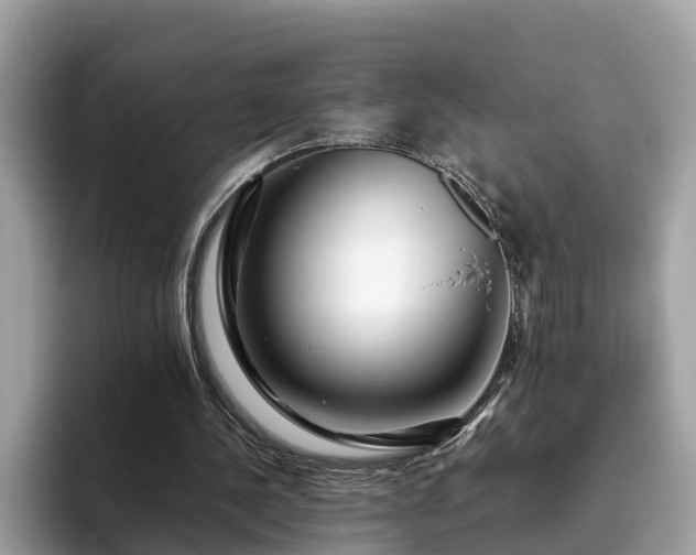 X0000094080244200710261313