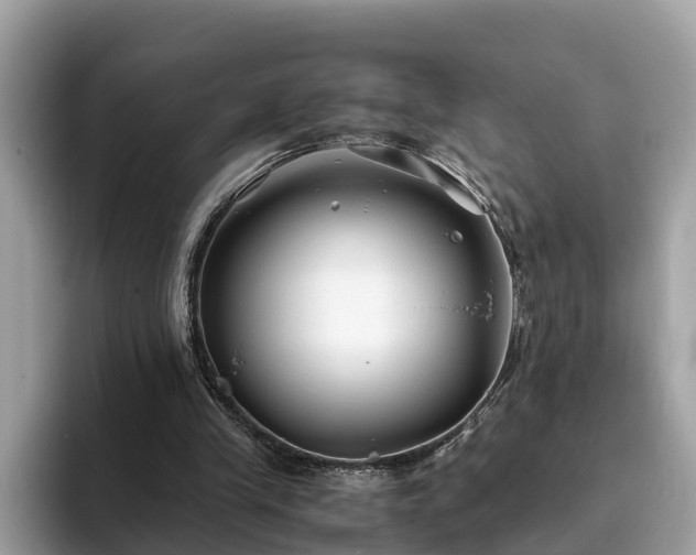 X0000094080245200710261313