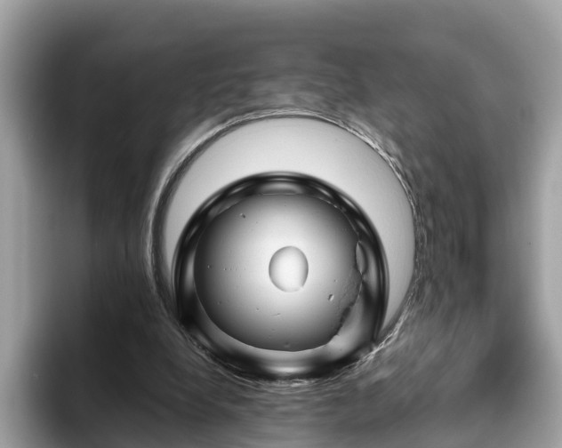 X0000094080248200710261313