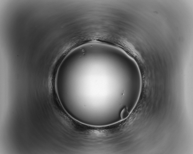 X0000094080250200710261313