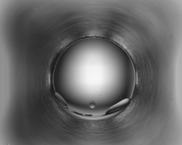 X0000094080253200710261313