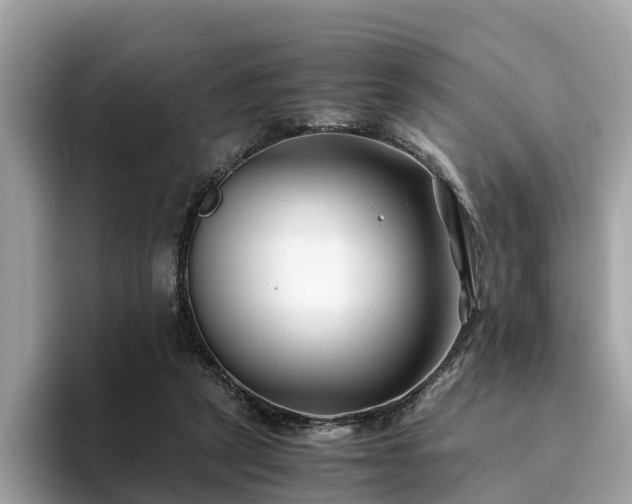 X0000094080257200710261313