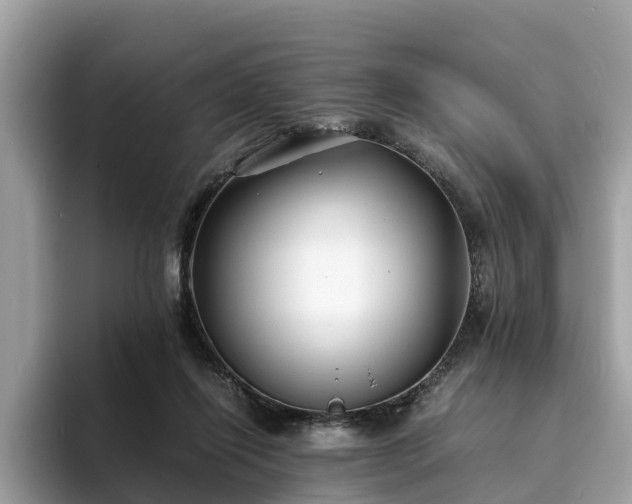 X0000094080262200710261313