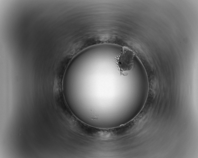 X0000094080272200710261313