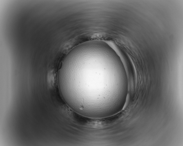 X0000094080276200710261313