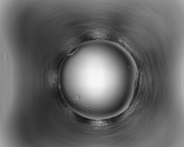 X0000094080281200710261313