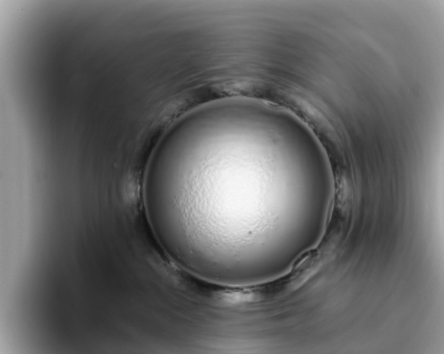 X0000094080284200710261313