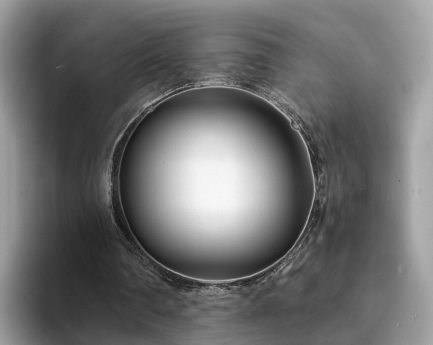 X0000094080290200710261313