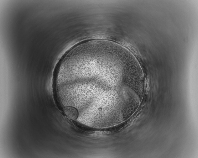 X0000094080292200710261313