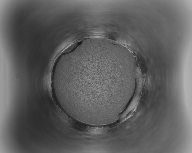 X0000094080293200710261313