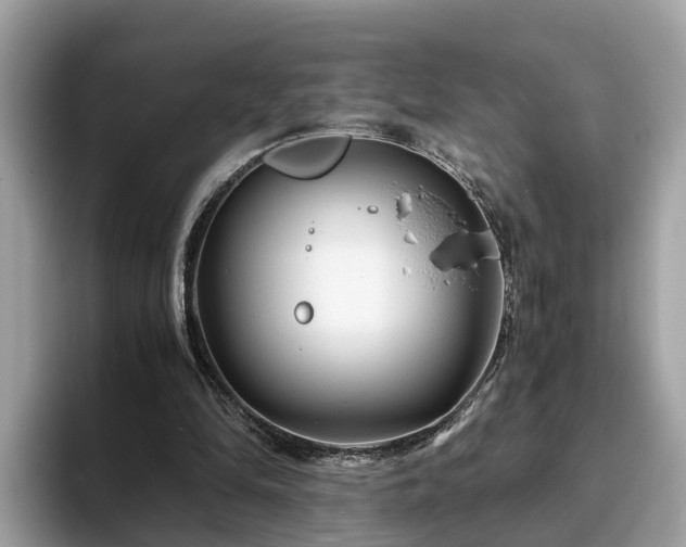 X0000094080294200710261313