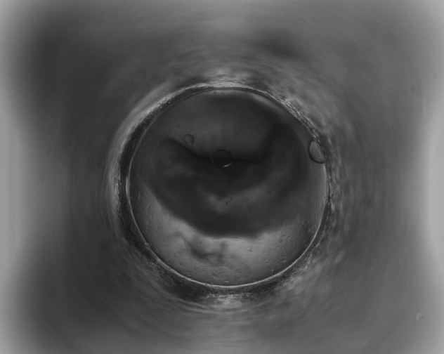 X0000094080295200710261313