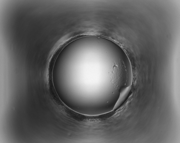 X0000094080296200710261313