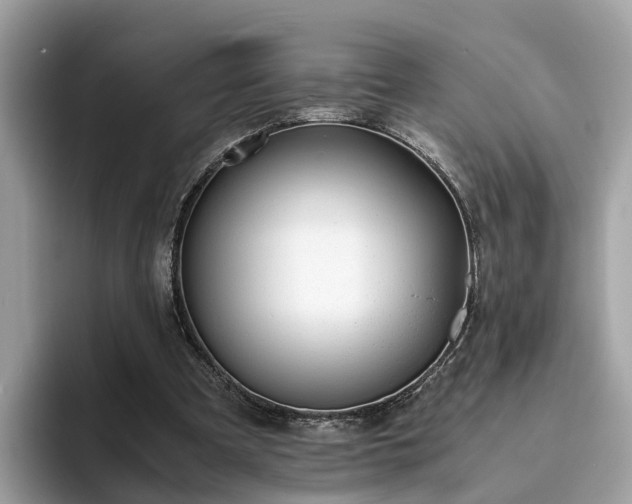 X0000094080297200710261313