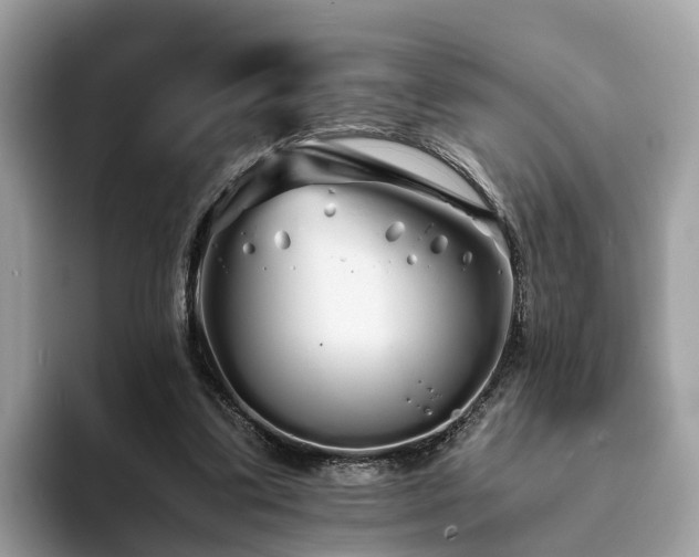 X0000094080299200710261313