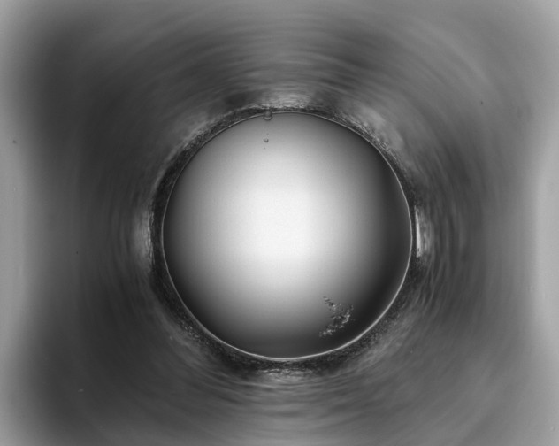 X0000094080300200710261313