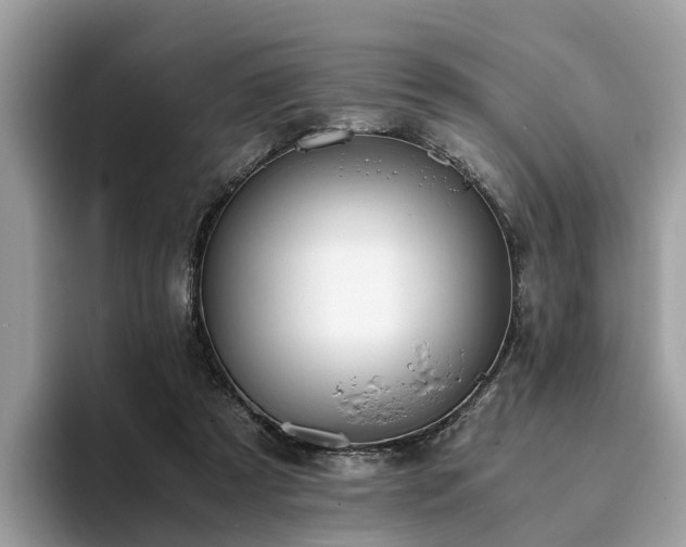 X0000094080305200710261313