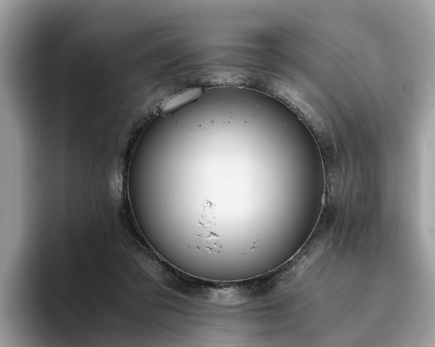 X0000094080309200710261313