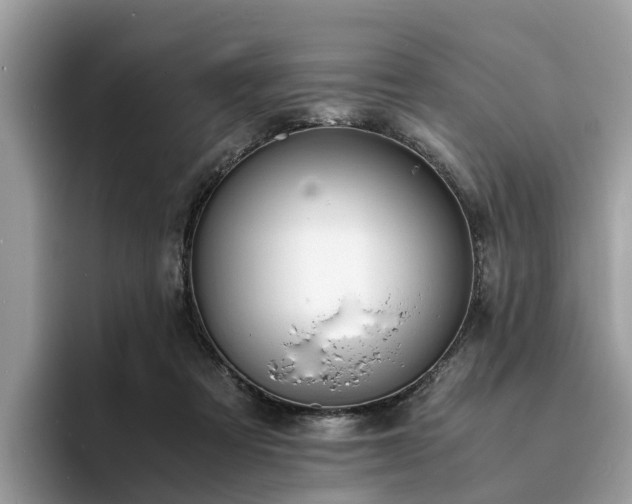 X0000094080313200710261313