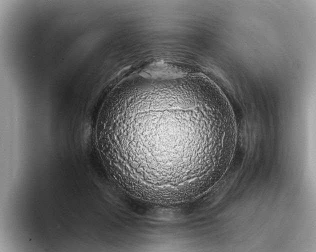 X0000094080314200710261313