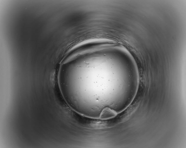 X0000094080319200710261312