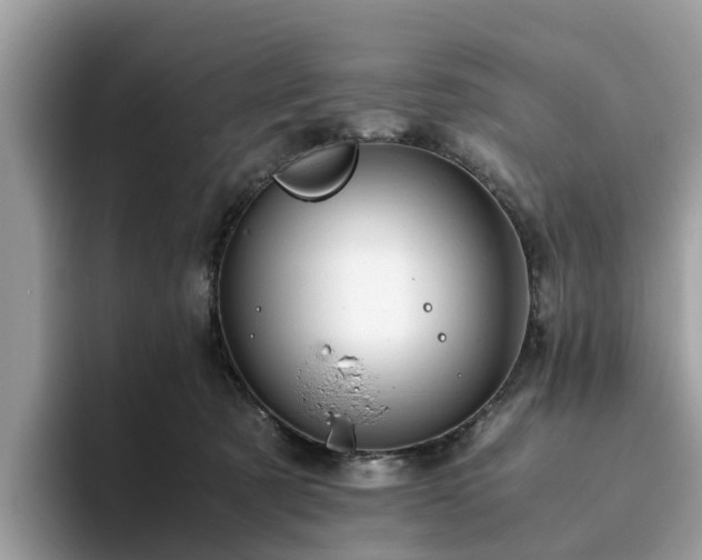 X0000094080321200710261312