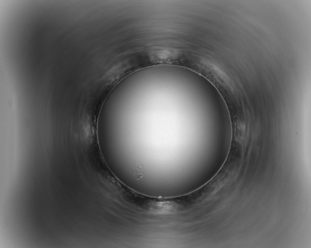 X0000094080324200710261312