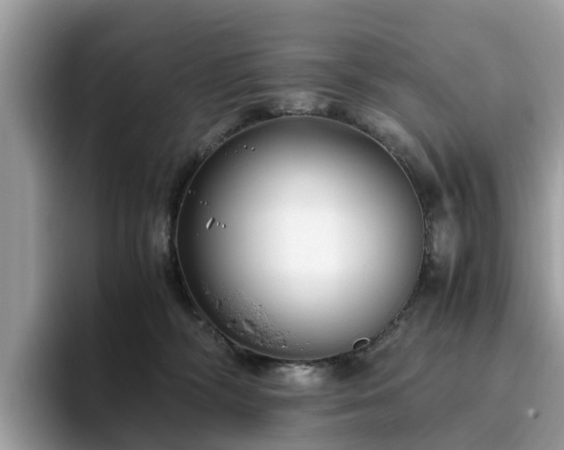 X0000094080326200710261312