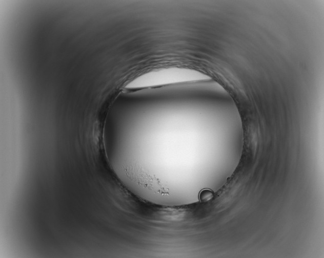 X0000094080328200710261312