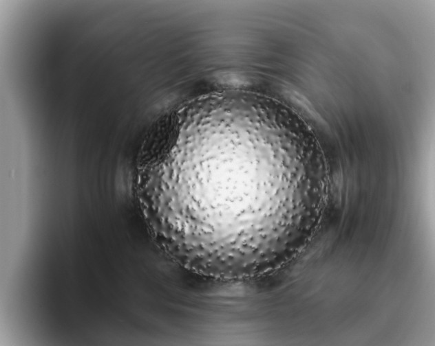 X0000094080330200710261312