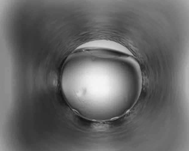 X0000094080331200710261312