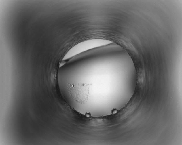 X0000094080332200710261312